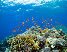 egypt, tour, trip
